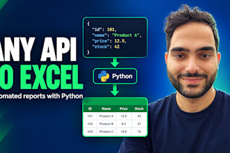 connect any API to excel with a python script
