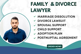 be your lawyer for family and divorce