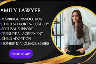 write family law documents, divorce, child custody, petition, motion and drafts
