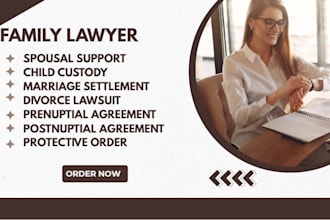 be your lawyer in divorce, child custody and child support lawsuits