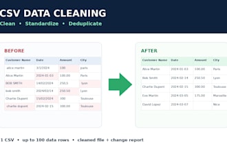 clean and standardize your CSV data