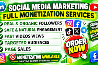 rapid instagram monetization, USA twitter follower fb, yt and linkedin growth