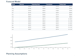 provide executive financial analysis, budgeting, and accounting management