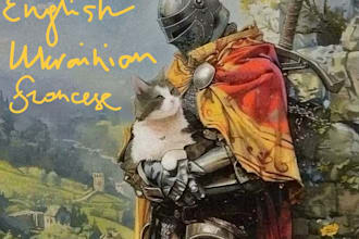 engish ukrainian french translation