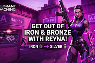 coach you in valorant only new players iron to bronze