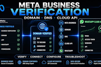 setup meta portfolio verification, cloud api, meta domain, meta dns verification