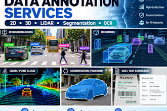 provide professional image and 3d data annotation services