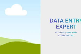 do professional data entry type copywriting and microsoft excel services for you