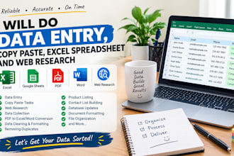do data entry copy paste excel spreedsheet and web research