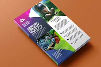 create premium quality flyer design for you