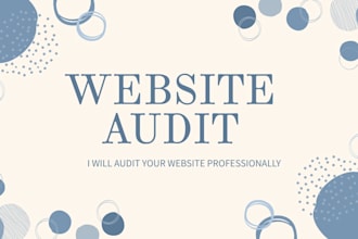 professionally audit your website for sales conversion
