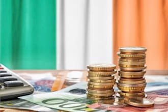 doireland tax filing  vat registration, paye company accounts