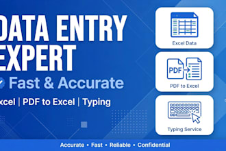 do fast and accurate data entry typing and excel work