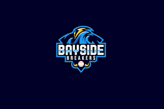 design a unique baseball, youth sports and team logo