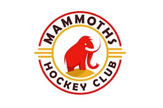 design a powerful hockey club, youth sports and team logo