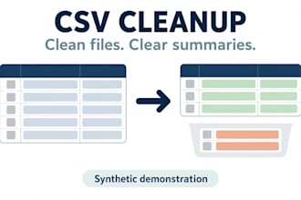 clean your CSV data and provide a clear processing summary