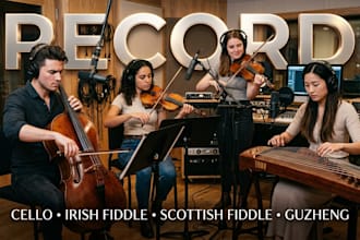 play cello, irish fiddle, scottish fiddle, guzheng for your song