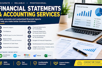 prepare general ledger, profit and loss, and balance sheet financial statements