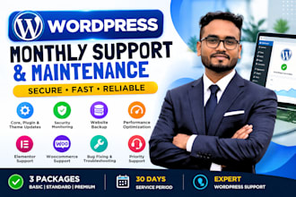 provide monthly wordpress support and maintenance