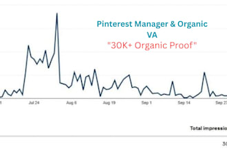 be your professional pinterest manager