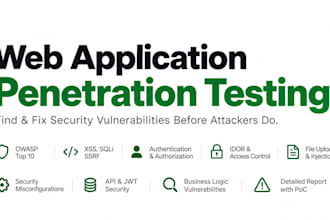 perform web application penetration testing, vapt and security audit
