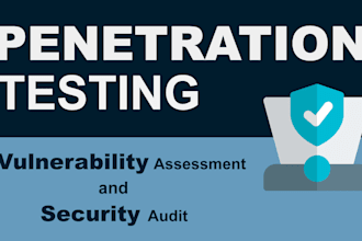 perform website penetration testing and vulnerability assessment