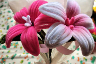 craft custom pipe cleaner flowers for gifts and decoration