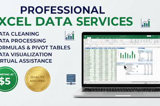 do professional data entry and copy typing work