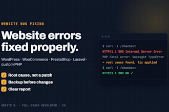 fix bugs, errors and broken features on your website