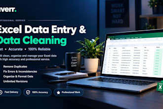 do fast and accurate excel data entry and data processing