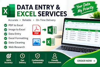 data entry and excel specialist