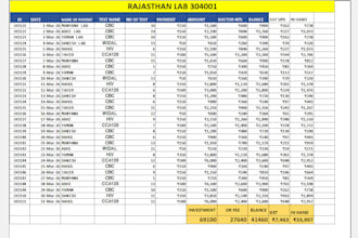 excel data cleaning formatting reporting expert