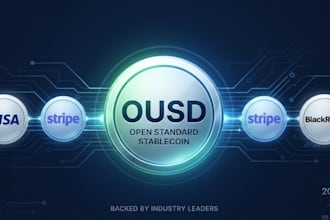 build ousd stablecoin integration for your business