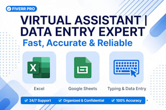 be your reliable virtual assistant for data entry excel