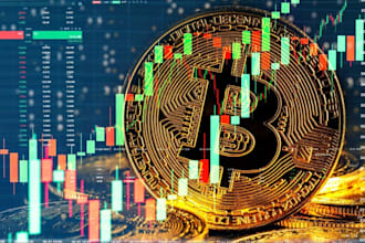 help you set up bitcoin wallet and learn crypto step by step