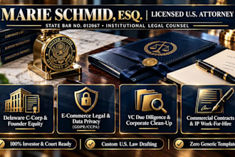 draft delaware c corp bylaws, founder equity, and startup legal docs