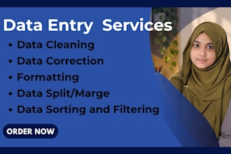 do data cleaning, correcting, merging and formatting services