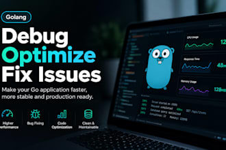 golang performance optimization and bug fixing
