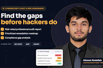 perform a cybersecurity audit and risk assessment