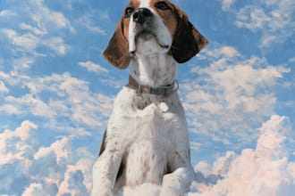 draw a custom memorial pet portrait from photo