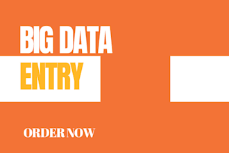 do big data entry tasks in 24 hours