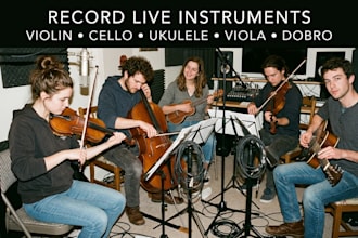 record violin, cello, ukulele, viola, dobro for your song