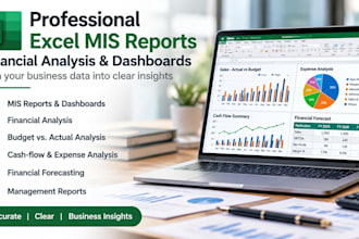 create professional excel mis reports and financial analysis