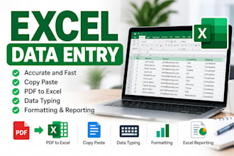 provide excel data entry, reporting and logistics support