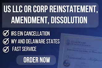do US llc or corp reinstatement, amendment , dissolution