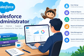 be your salesforce administrator