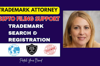 provide trademark attorney support for uspto filing and registration euipo ukipo