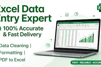 do excel data entry, data cleaning and formatting