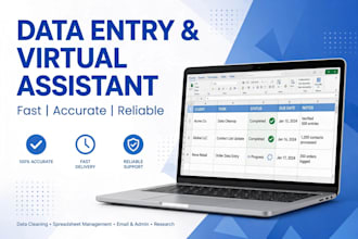 do data entry,web research ,excel cleanup