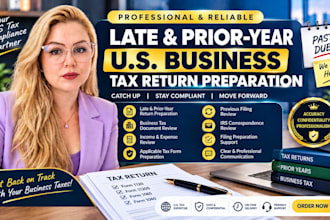 file and prepare late and prior year US business tax returns with irs compliance